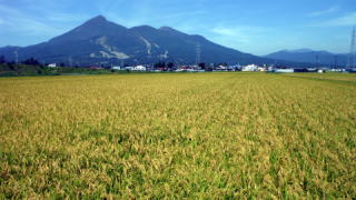 磐梯山と田んぼ