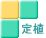 定植