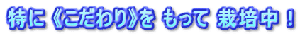  st  ͔|I