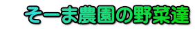 @[ܔ_̖ؒB