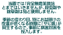 当園では「完全無農薬栽培 とまではいきませんが、殺虫剤や 除草剤は殆ど使用しません。  季節の変わり目、特にお盆明けの 夜温が低くなる時期に「サビ病」が 発生するので、事前に病害対策を 投入します。