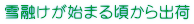 雪融けが始まる頃から出荷