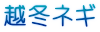 越冬ネギ