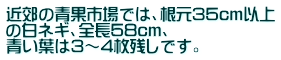 近郊の青果市場では、根元35cm以上 の白ネギ、全長58cm、 青い葉は3～4枚残しです。