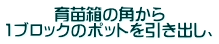 育苗箱の角から 1ブロックのポットを引き出し、