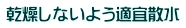 乾燥しないよう適宜散水