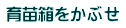 育苗箱をかぶせ