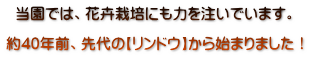 ł́Aԙ͔|ɂ͂𒍂ł܂B  40NOÁyhEzn܂܂I