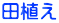 田植え