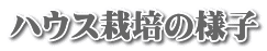 nEX͔|̗lq