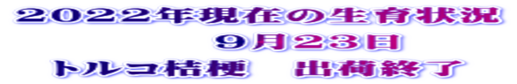 2022N݂̐         923@ gRj[@o׏I