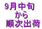  9月中旬　 から  順次出荷