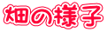 ̗lq