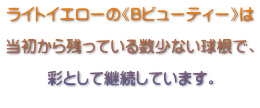 CgCG[́sBr[eB[t  cĂ鐔ȂŁA  ʂƂČpĂ܂B 