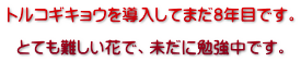 gRMLE𓱓Ă܂8NڂłB  ƂĂԂŁAɕ׋łB