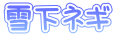 雪下ネギ 