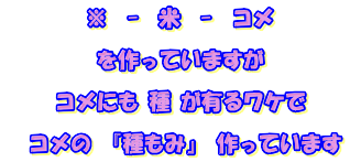 ※  -　米  -　コメ  を作っていますが  コメにも 種 が有るワケで  　コメの 『種もみ』 作っています 