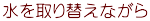 水を取り替えながら